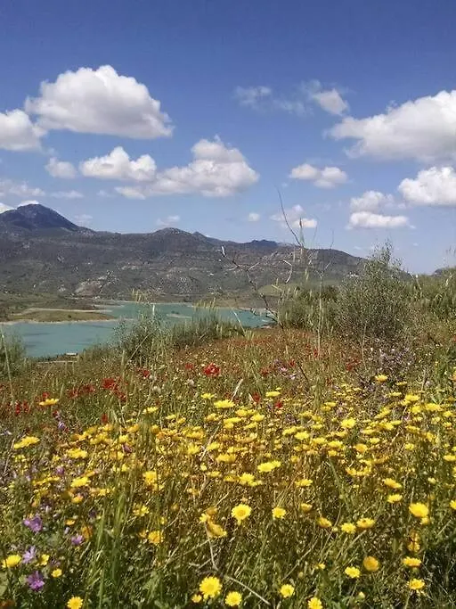 Casa De Las Flores - A Picture Perfect Location! El Gastor Holiday home