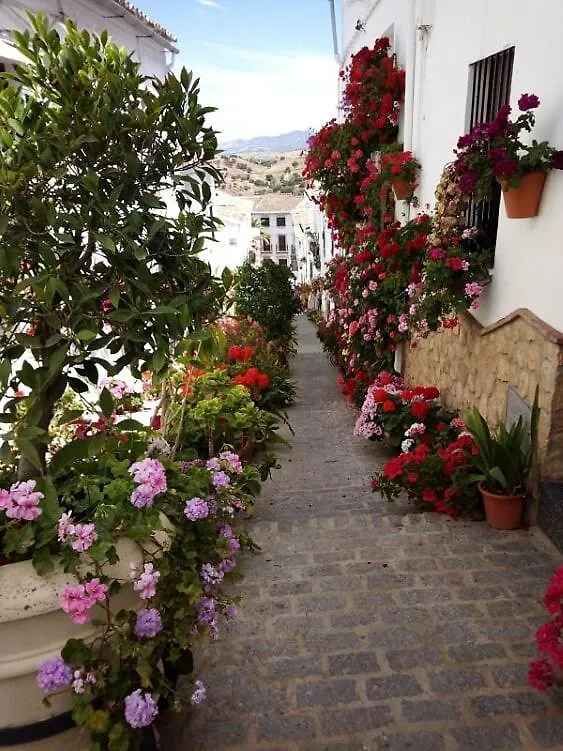 Casa De Las Flores - A Picture Perfect Location! El Gastor