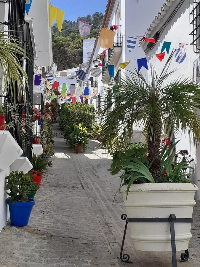 Casa De Las Flores - A Picture Perfect Location! El Gastor
